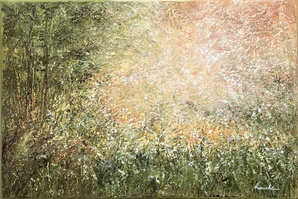 Sommerwaldwiese